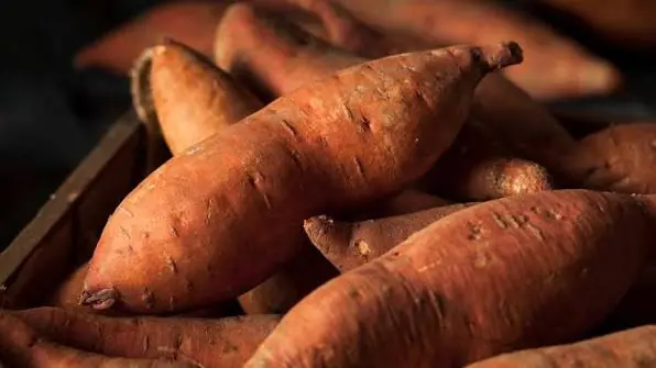 You Might Be Surprised by What Daily Sweet Potatoes Can Do for Your Body