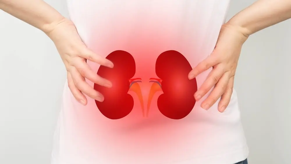 10 Everyday Habits That May Be Harming Your Kidneys Without You Realizing It