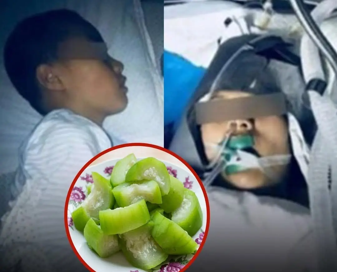 Doctors Warn This “Bitter Vegetable” May Be More Toxic Than Arsenic If Eaten Incorrectly