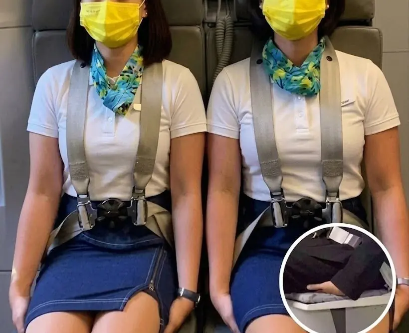 Have You Ever Wondered Why Flight Attendants Sit on Their Hands During Takeoff?