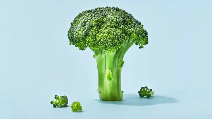 The Surprising Effects of Eating Broccoli Regularly, According to Doctors