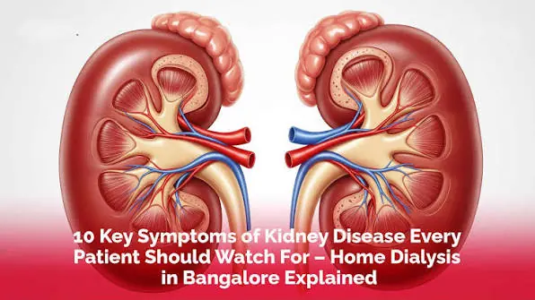 Your Kidneys Could Be Trying to Tell You Something—Here's What to Look For