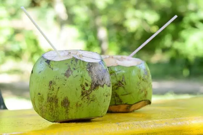 12 Reasons Coconut Water Deserves a Spot in Your Daily Routine