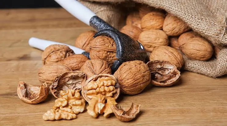 Eating Walnuts Every Day? Here Are the Incredible Changes You Might Notice
