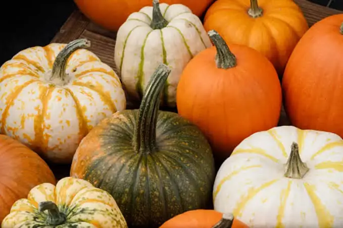 Most People Know the Benefits of Pumpkin—But Few Know Its Possible Downsides