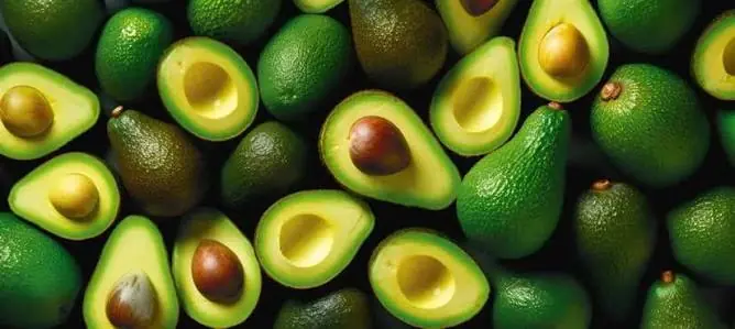 Why Experts Recommend Avocados (and Who Should Be Careful)