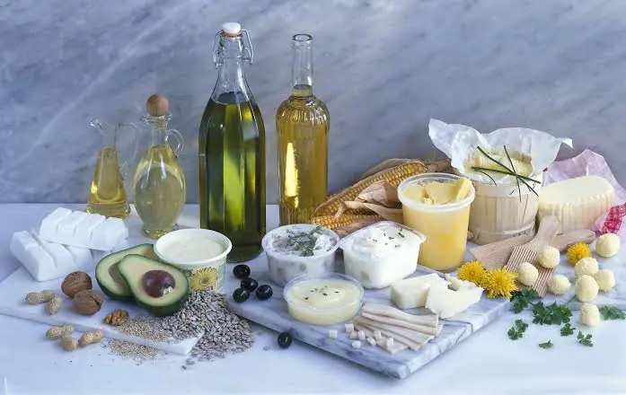 Plant Oil vs. Animal Fat: How to Tell the Difference and Which One Is Better?