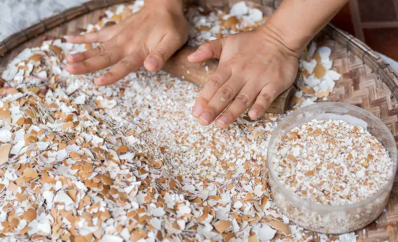 Don't Throw Away Eggshells! 8 Brilliant Ways to Reuse Them Around Your Home and Garden