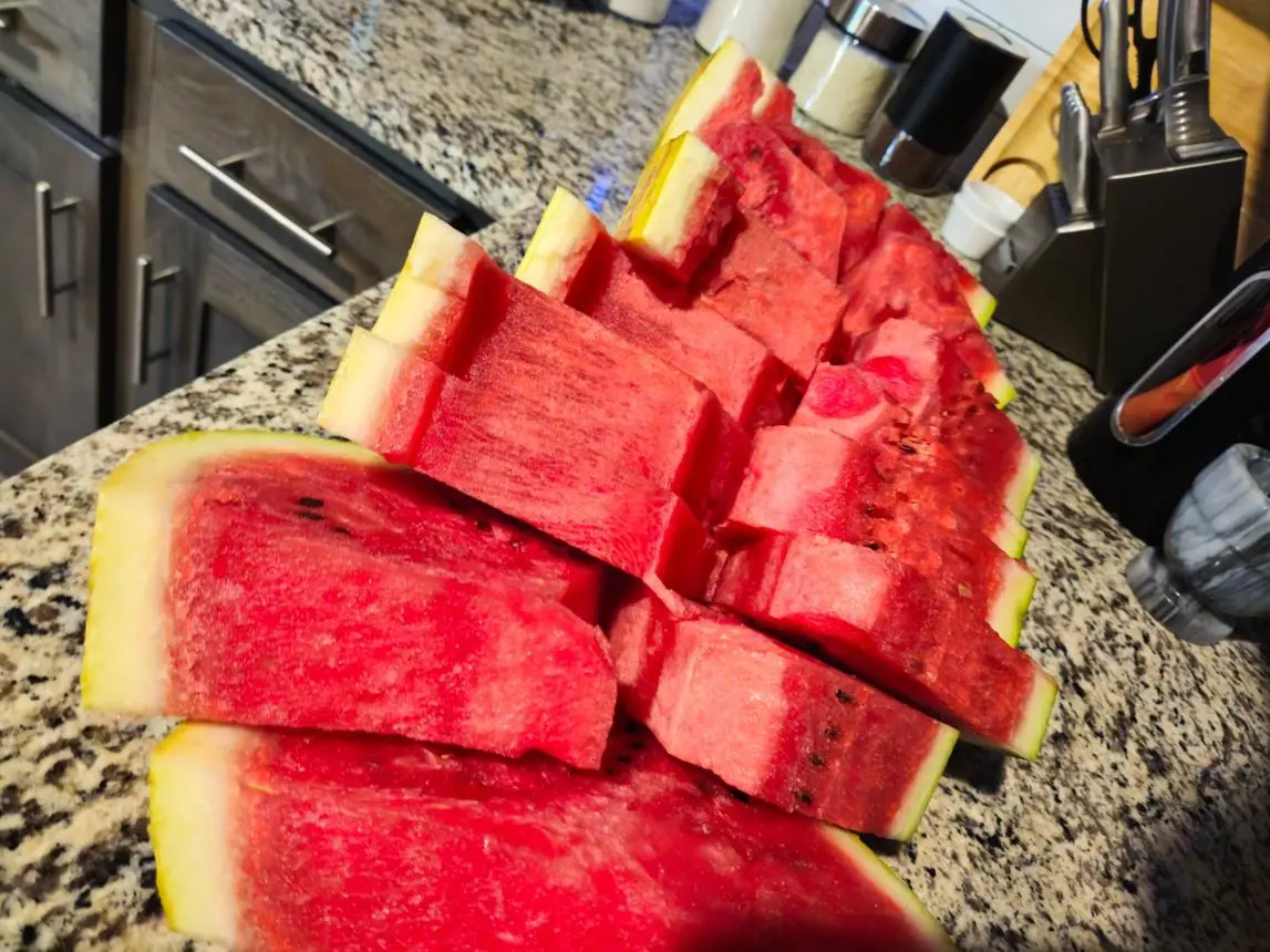 Not Just Leftover Watermelon: Everyday Food Habits That Can Encourage Bacteria to Grow