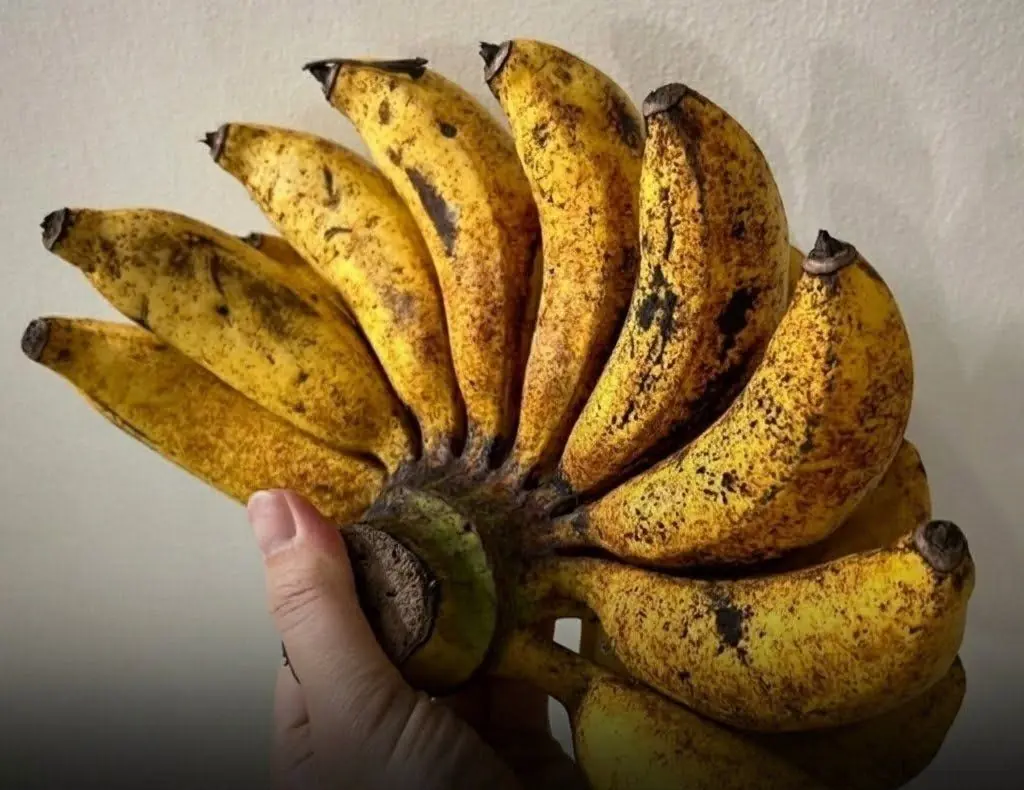If you eat bananas at night, you'll increase your... See more