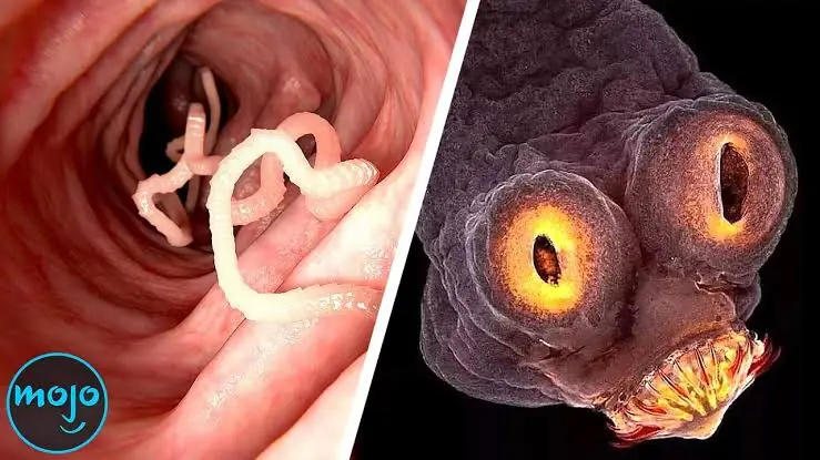 Doctors Say These 4 Foods May Be Risky If They Aren't Cooked or Prepared Correctly