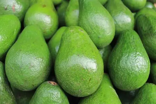 Avocados:  Science-Backed Health Benefits of Nature's Creamy Superfood