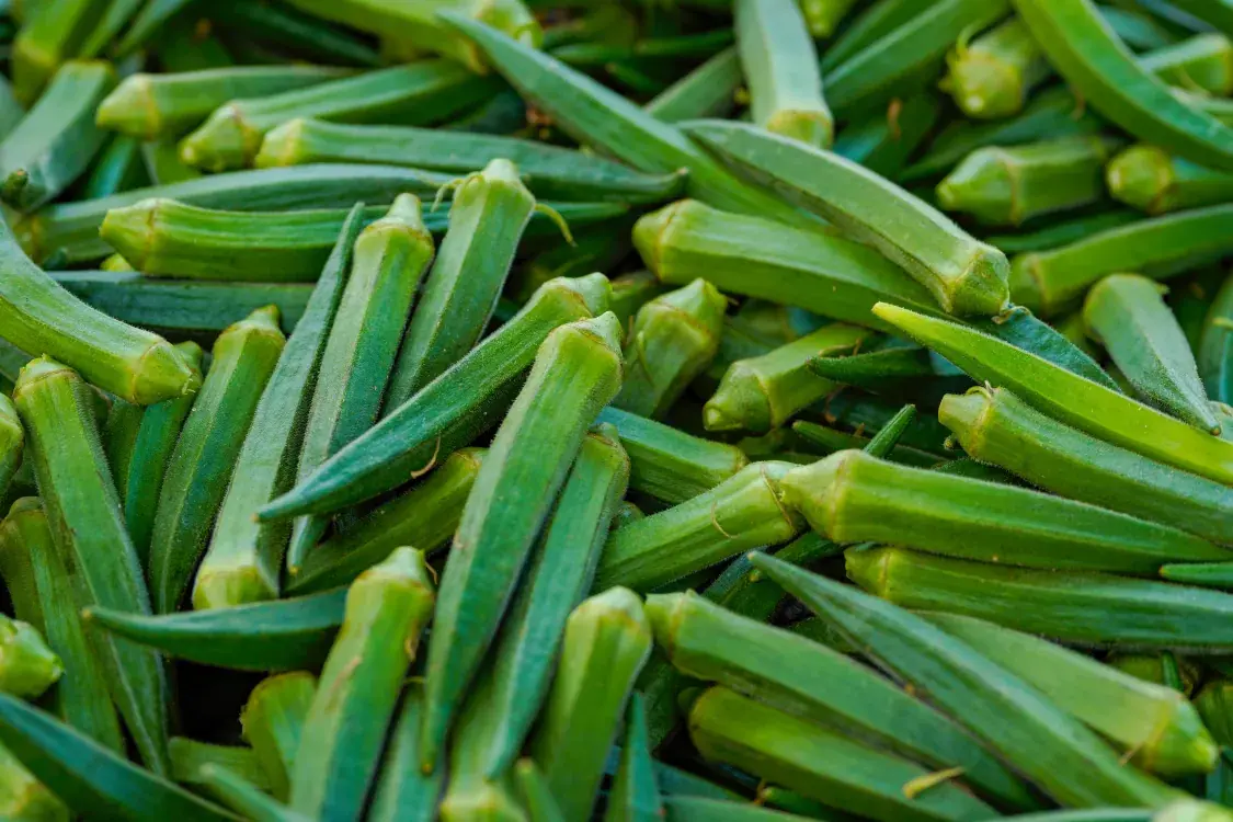 Okra:  Science-Backed Health Benefits of This Nutrient-Packed Green Vegetable