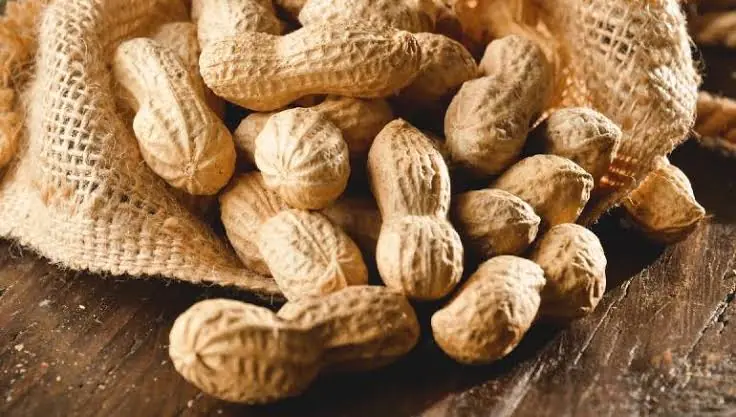 Most People Don't Know What Happens When You Eat Too Many Peanuts...