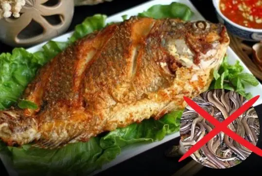 3 Types of Fish That Could Carry Hidden Health Risks — No Matter How Delicious They Are, You May Want to Avoid Them
