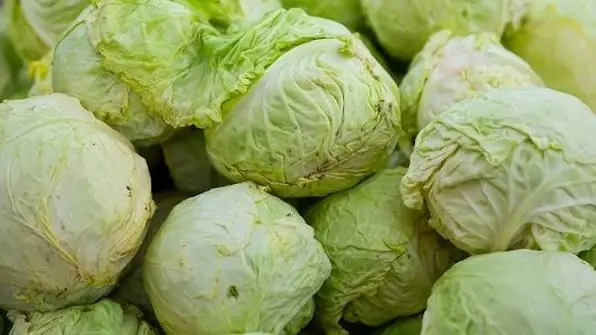 Eating Cabbage? These People May Want to Think Twice