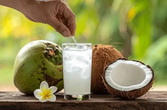Coconut Water: Science-Backed Health Benefits of Nature's Refreshing Drink