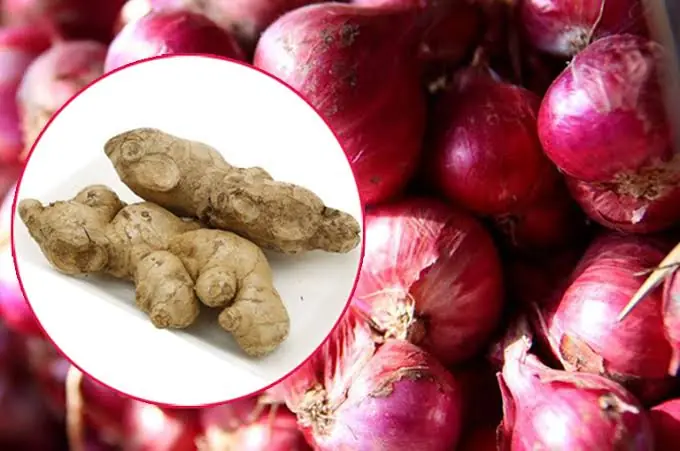 Red Onion and Ginger: A Traditional Combination Backed by Nutrient-Rich Ingredients