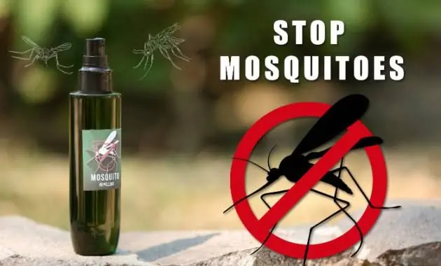 Keep Mosquitoes Away Naturally: Easy Home Remedies Using Everyday Ingredients