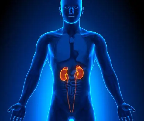 These Silent Kidney Warning Signs Are Easier to Miss Than You Think