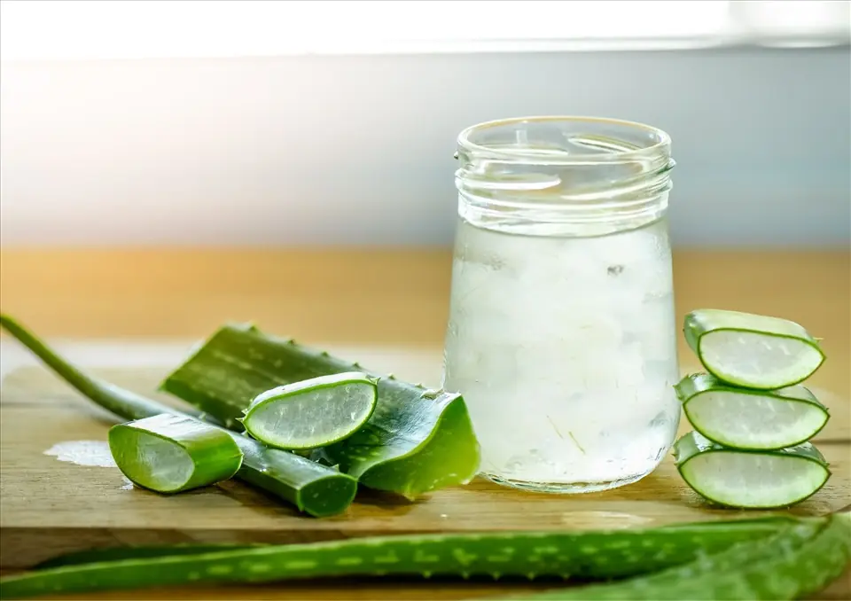 Aloe Vera and Your Health: Benefits, Uses and Safety Considerations