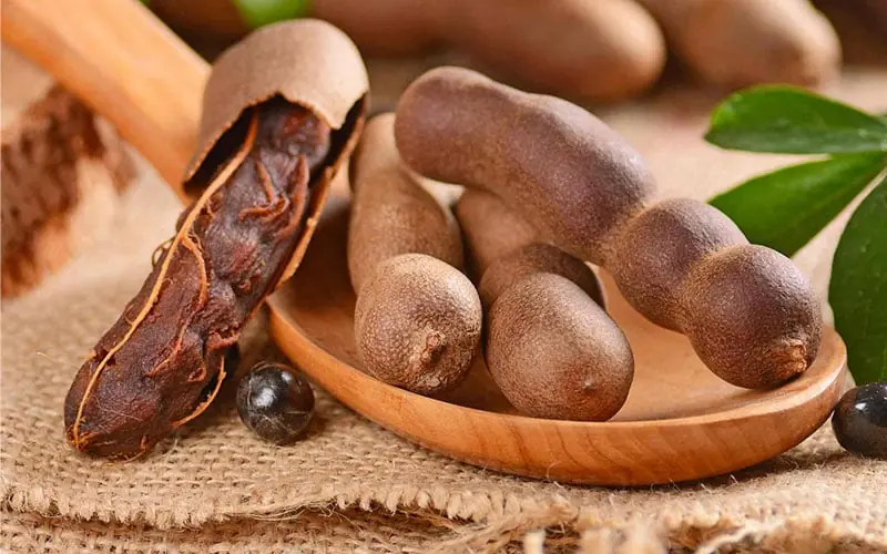What Are the Potential Health Benefits of Tamarind?