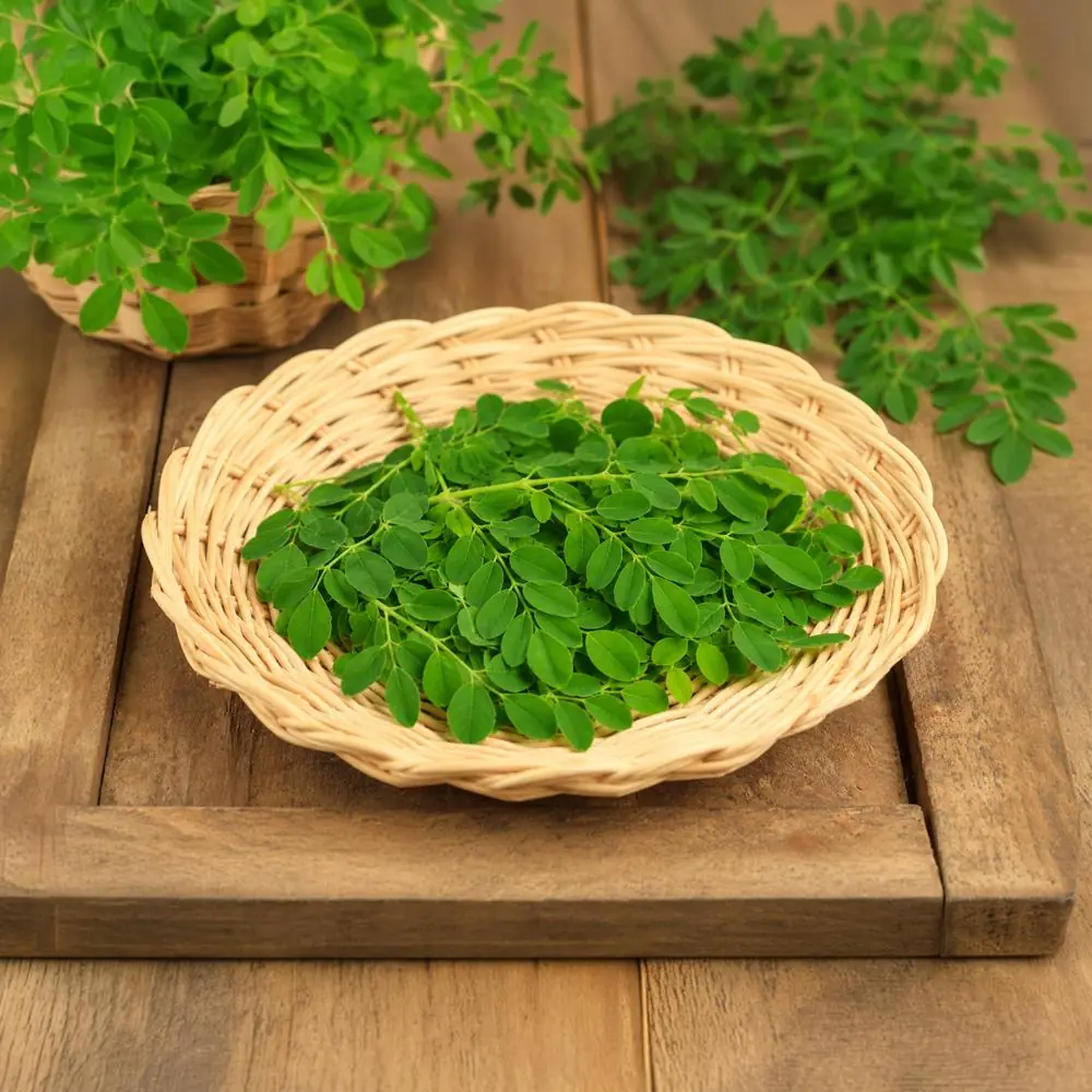 Moringa: A Nutrient-Rich Tree Whose Health Benefits Continue to Be Studied