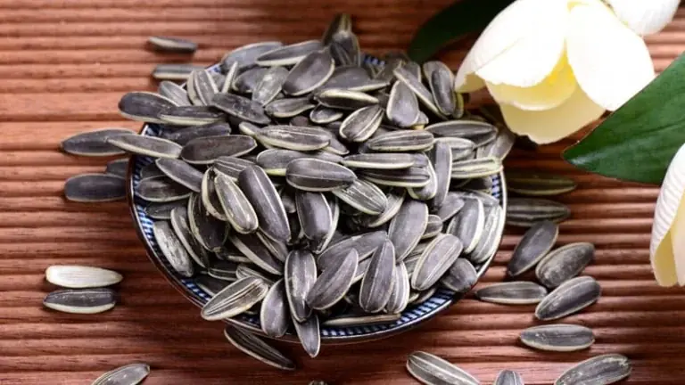 Sunflower Seeds: 15 Benefits and Considerations You Should Know