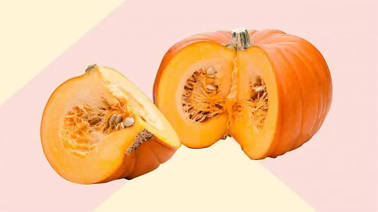 You May Never Look at Pumpkin the Same Way After Learning These Facts!