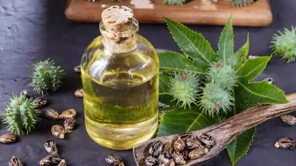 What You Should Know About Castor Oil: 7 Potential Benefits Explained