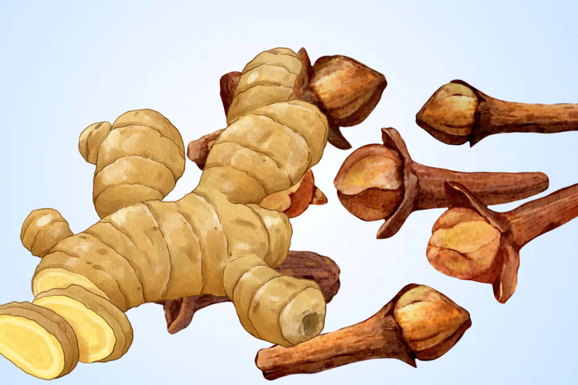 Can Ginger and Cloves Support Your Health? 6 Potential Benefits Explained