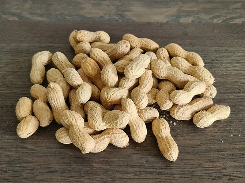 Peanuts Are Healthy—But Doctors Warn These Hidden Risks Shouldn't Be Ignored