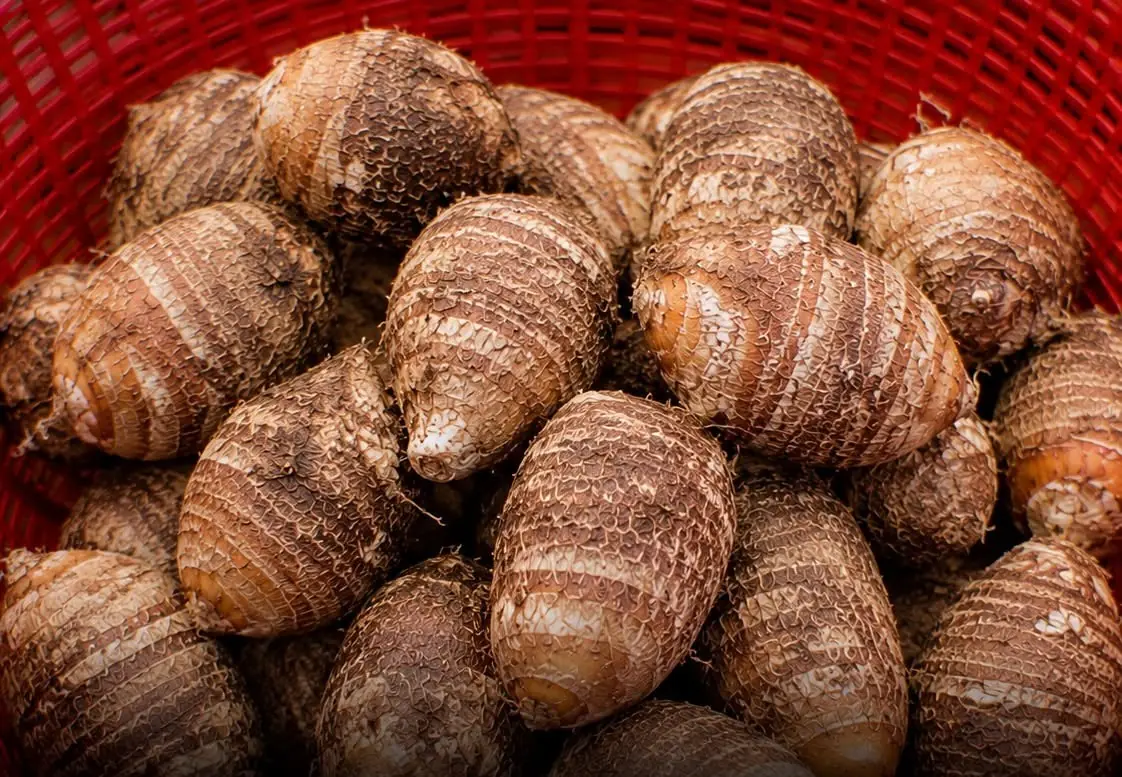 Scientists Were Surprised by the One Root Vegetable Everyone in This Village Eats Daily
