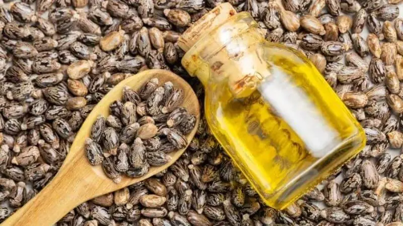 Castor Oil and Baking Soda: Potential Uses, Benefits, and What the Evidence Says