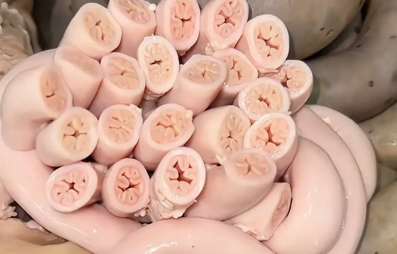 Don’t be fooled by supermarkets. They are selling you meat from…