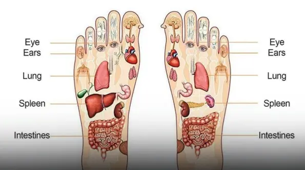 Signs on your feet that your internal organs are warning you that you should go to hospital immediately