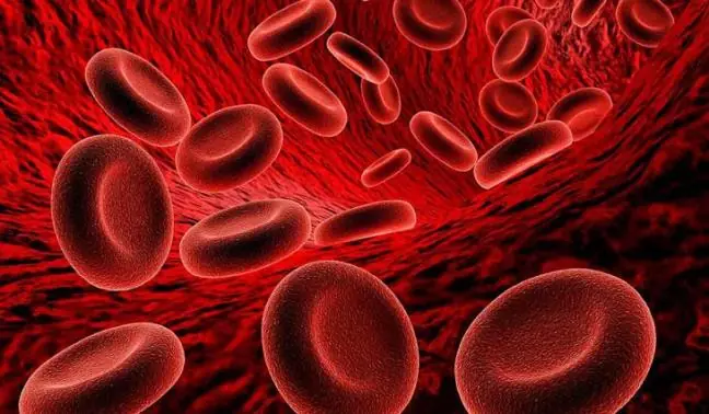 Natural Blood-Thinning Foods: Who Should Avoid or Limit Them