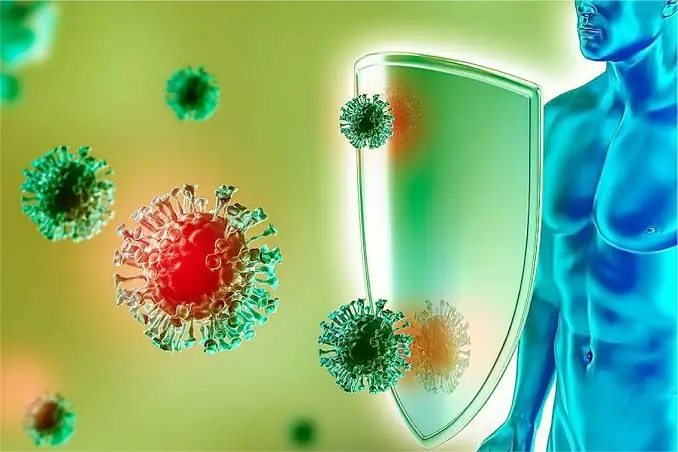 What to Eat to Help Support Your Immune System?