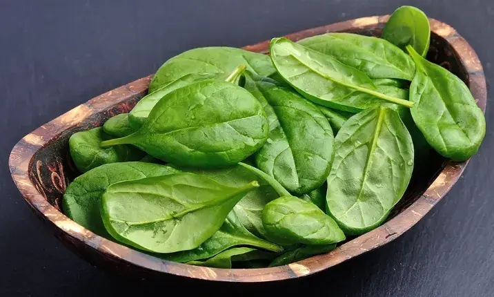 Why Spinach Is One of the Healthiest Leafy Greens You Can Eat?