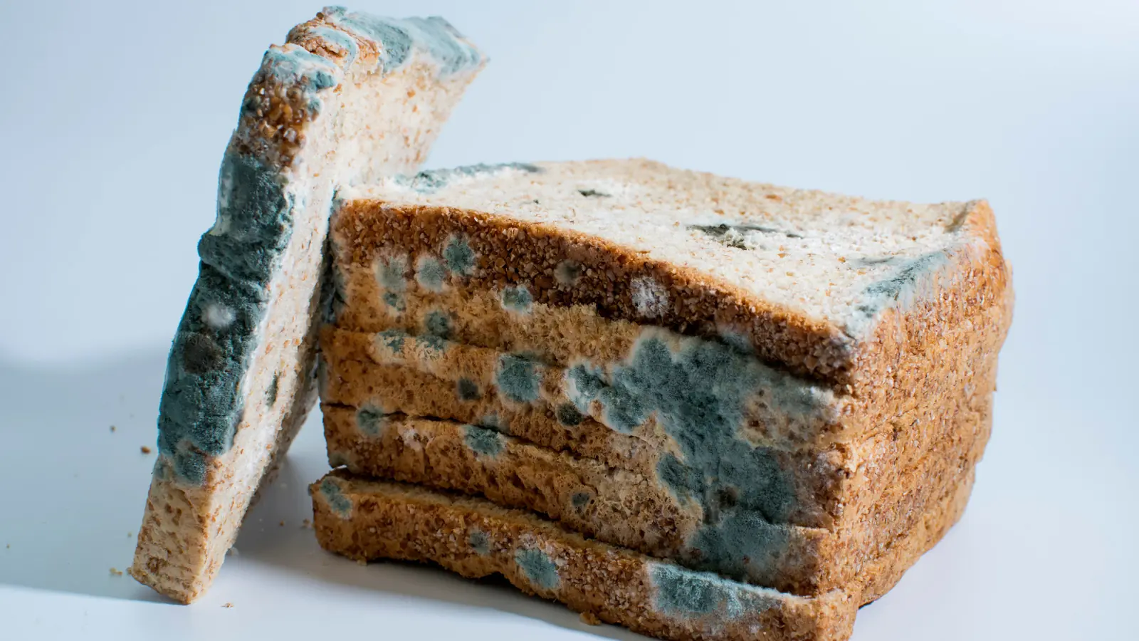 Why Eating Moldy Foods Can Be Harmful to Your Health?