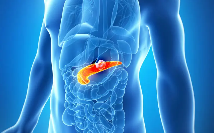 Pancreatic Can.cer: Why Early Detection Matters and the Symptoms to Watch For