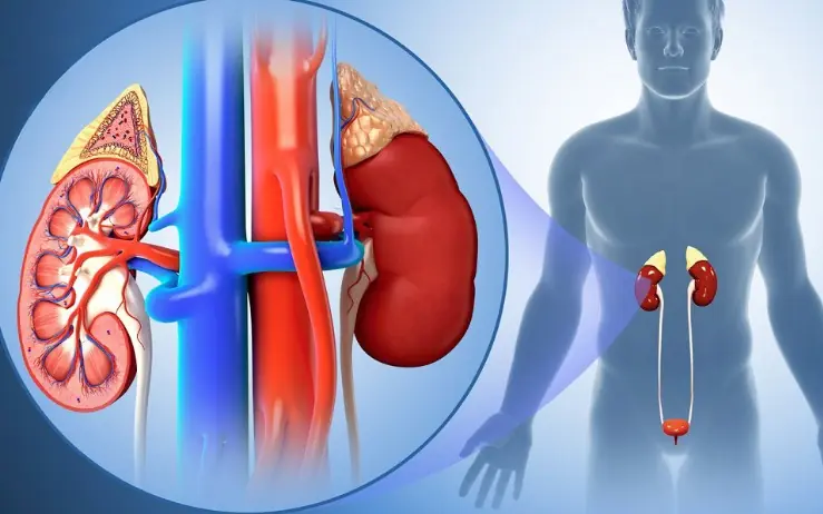 What These 4 Morning Symptoms May Tell You About Your Kidney Health