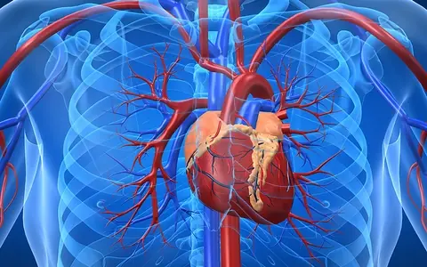 Don't Ignore These 7 Signs — They Could Signal a Heart Attack Is Coming!