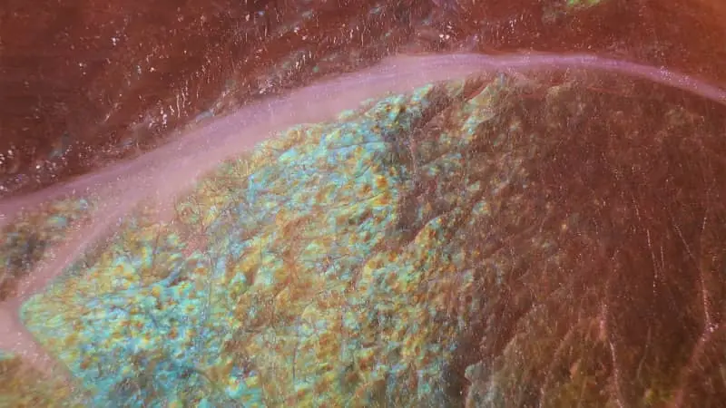 Why Does Deli Meat Sometimes Have a Rainbow Shine? The Surprising Science Behind It