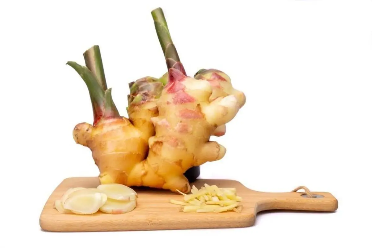 Doctors Warn: If You Have These 5 Conditions, Limit Your Ginger Intake