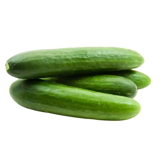 Millions of People Eat Cucumbers Every Day Without Knowing What They May Do for the Body... See More