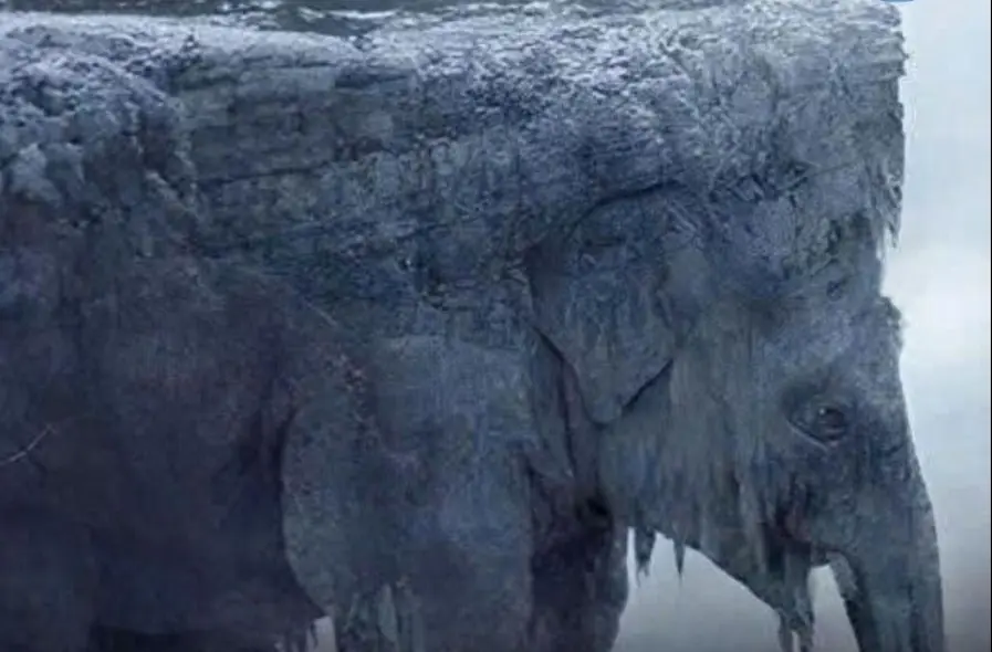 Snake or Elephant? This Viral Optical Illusion Claims to Reveal How You See the Future