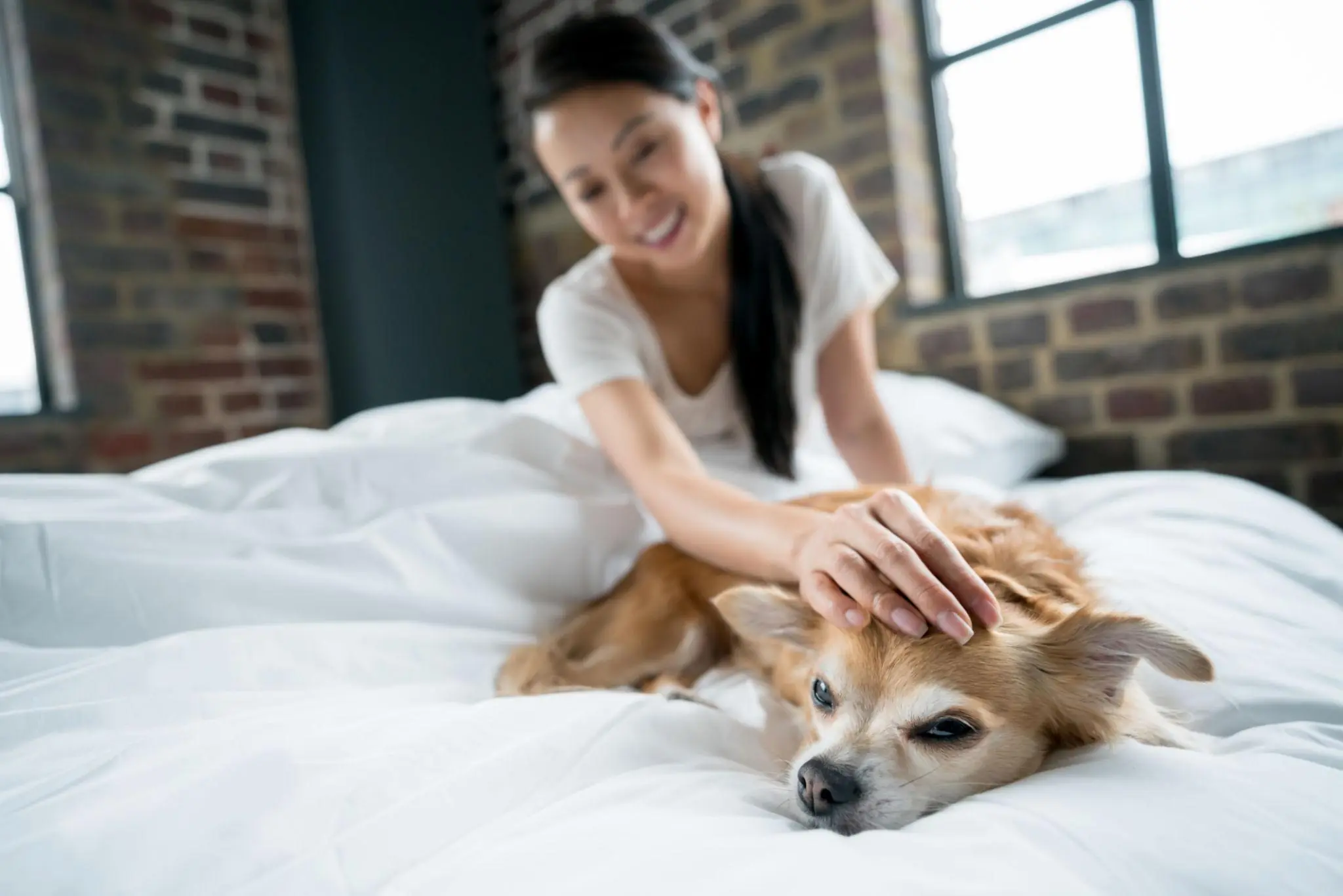 If Your Dog Wants to Sleep in Your Bed, Here’s What It May Really Mean