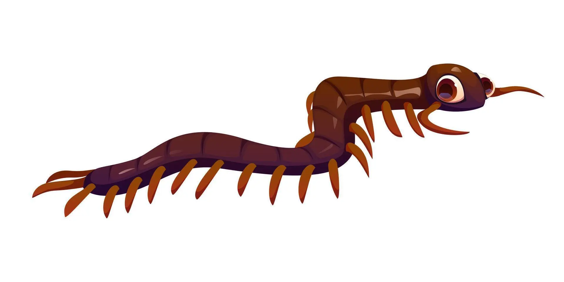 Found a Centipede Indoors? It Might Reveal More About Your Home Than You Think