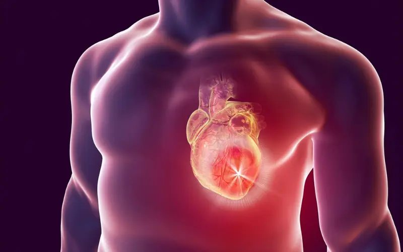 Don't Ignore These 7 Possible Heart Attack Warning Signs—The 6th May Surprise You
